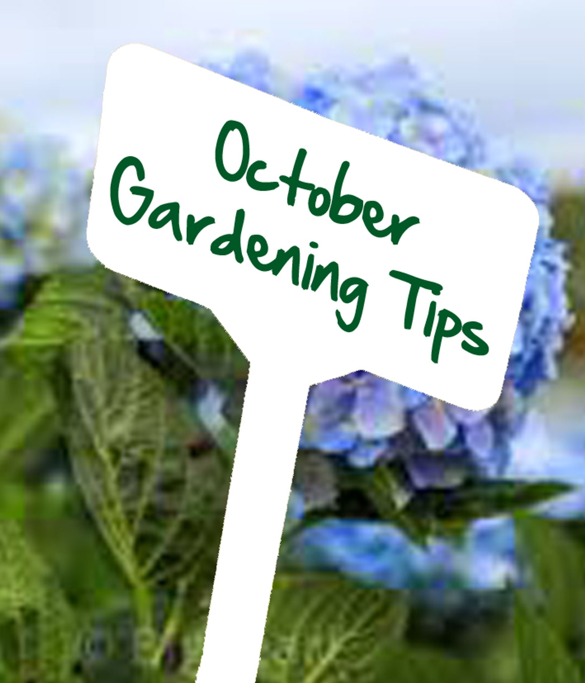 October Gardening Tips by Reg Moule